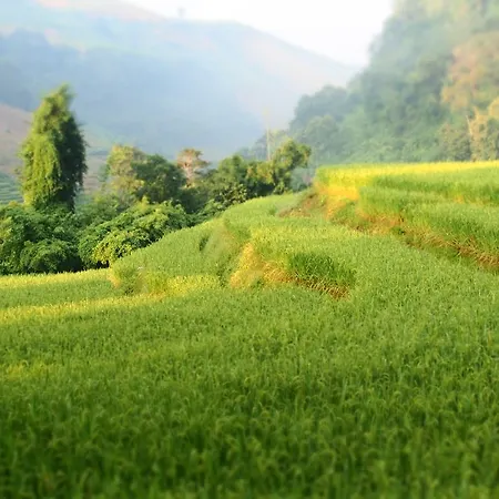 Kowitfarmstay Ban Mae Pan Noi Exterior photo
