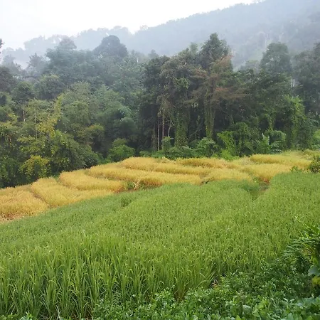 Kowitfarmstay Ban Mae Pan Noi Exterior photo