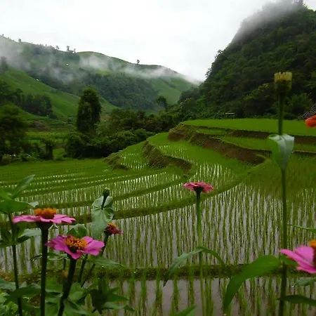 Kowitfarmstay Ban Mae Pan Noi Exterior photo