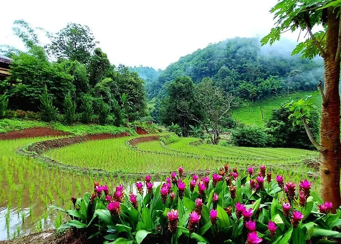 Kowitfarmstay