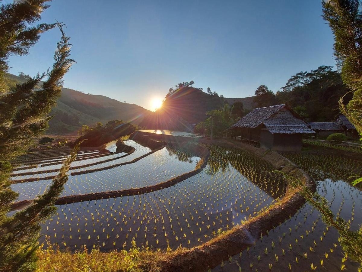 Farm stay Kowitfarmstay