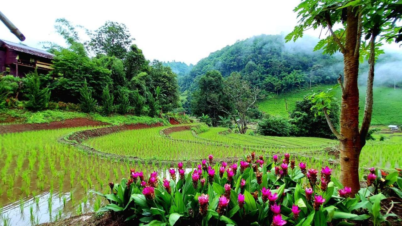 Kowitfarmstay Farm stay Ban Mae Pan Noi
