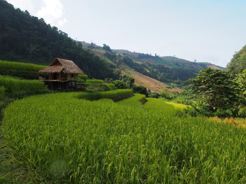 Farm stay Kowitfarmstay