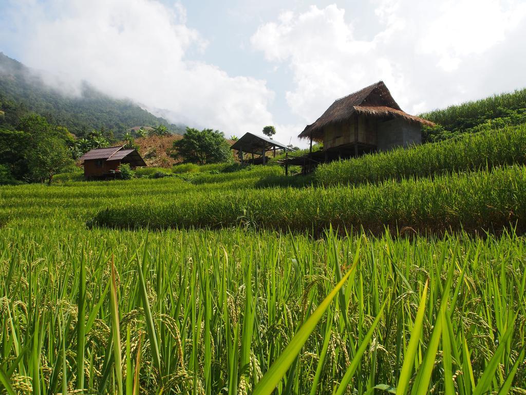 Farm stay Kowitfarmstay Ban Mae Pan Noi