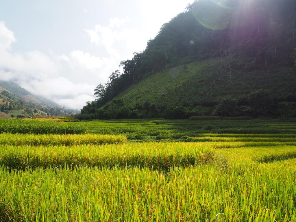 Farm stay Kowitfarmstay Ban Mae Pan Noi