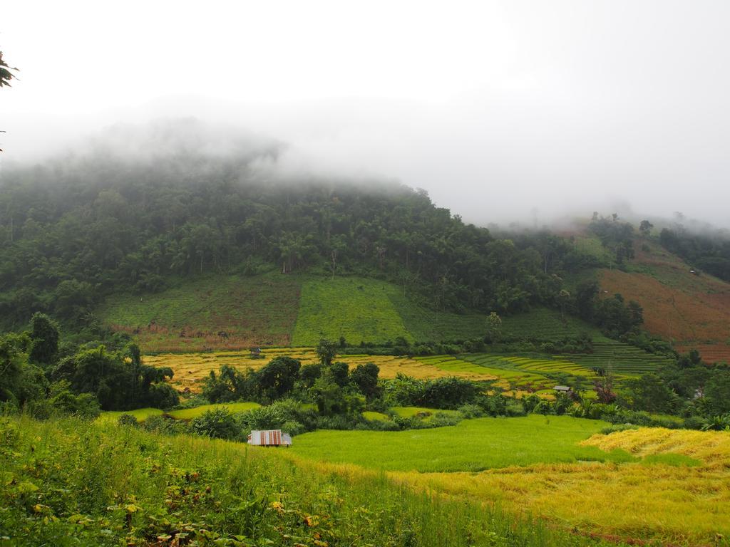 Kowitfarmstay