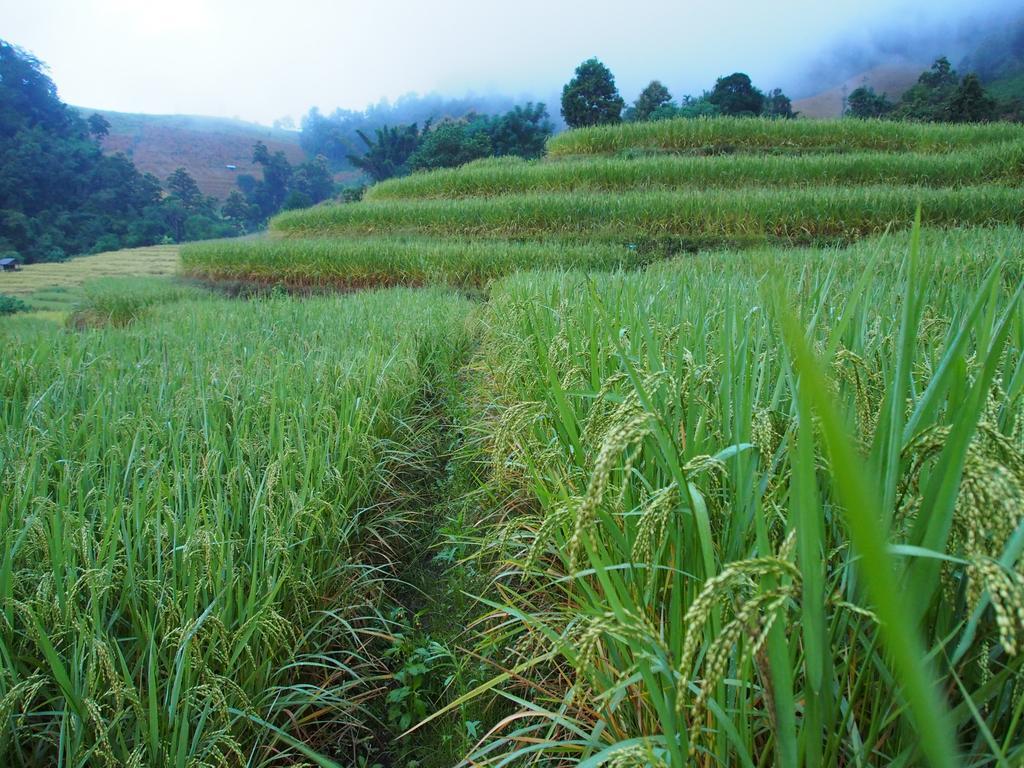 Farm stay Kowitfarmstay *