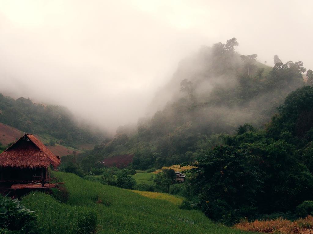 Farm stay Kowitfarmstay *