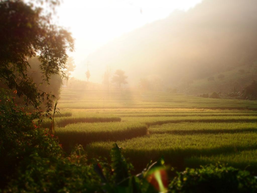 Farm stay Kowitfarmstay