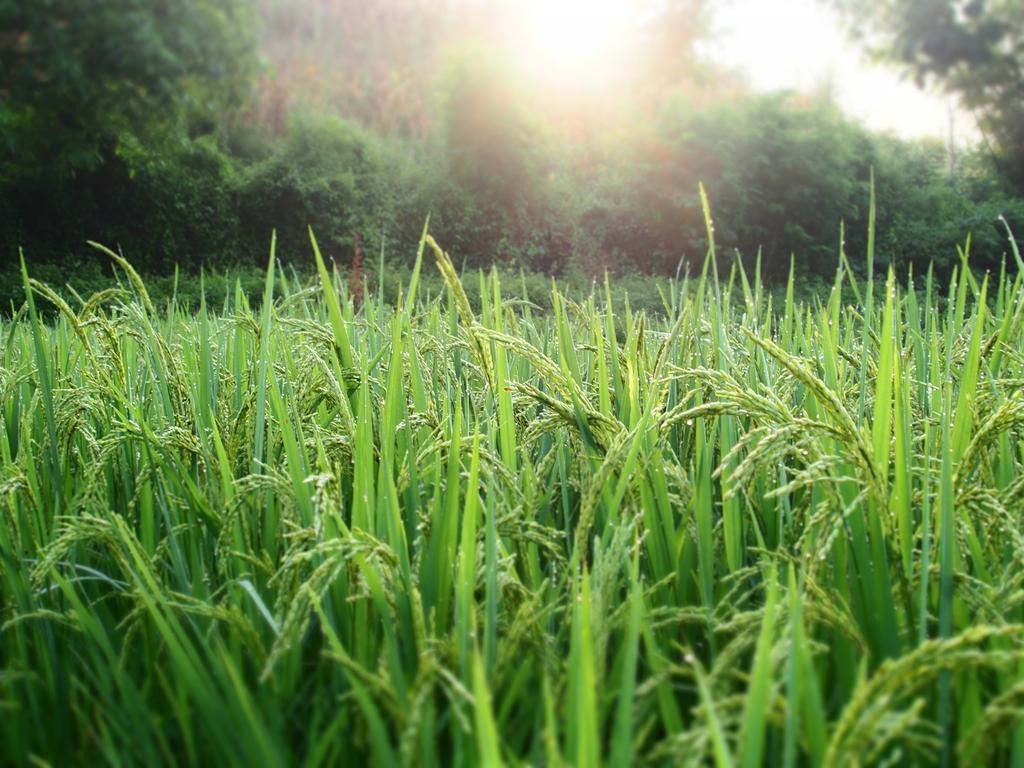 Kowitfarmstay