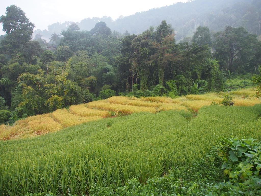 Farm stay Kowitfarmstay