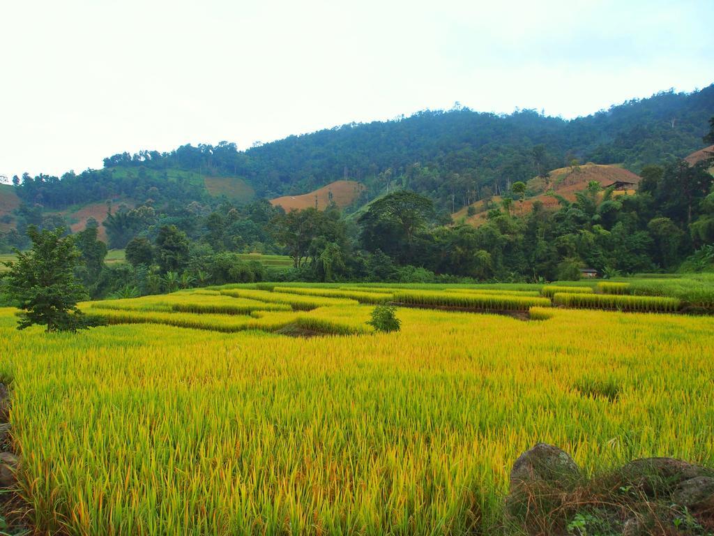 Kowitfarmstay Ban Mae Pan Noi