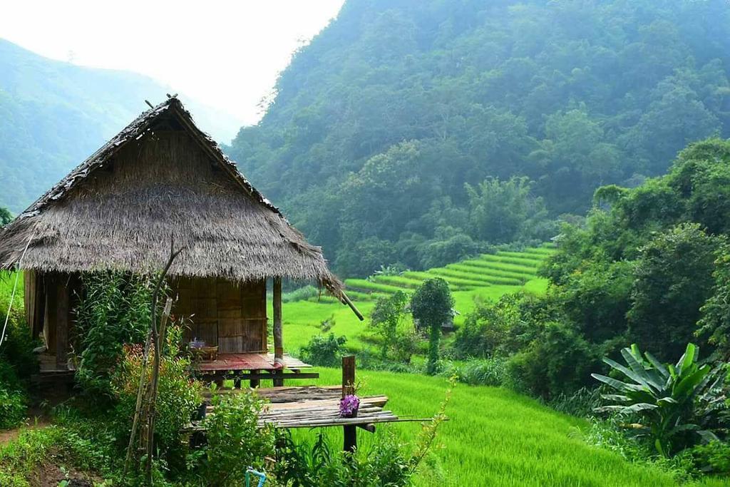 Kowitfarmstay Ban Mae Pan Noi