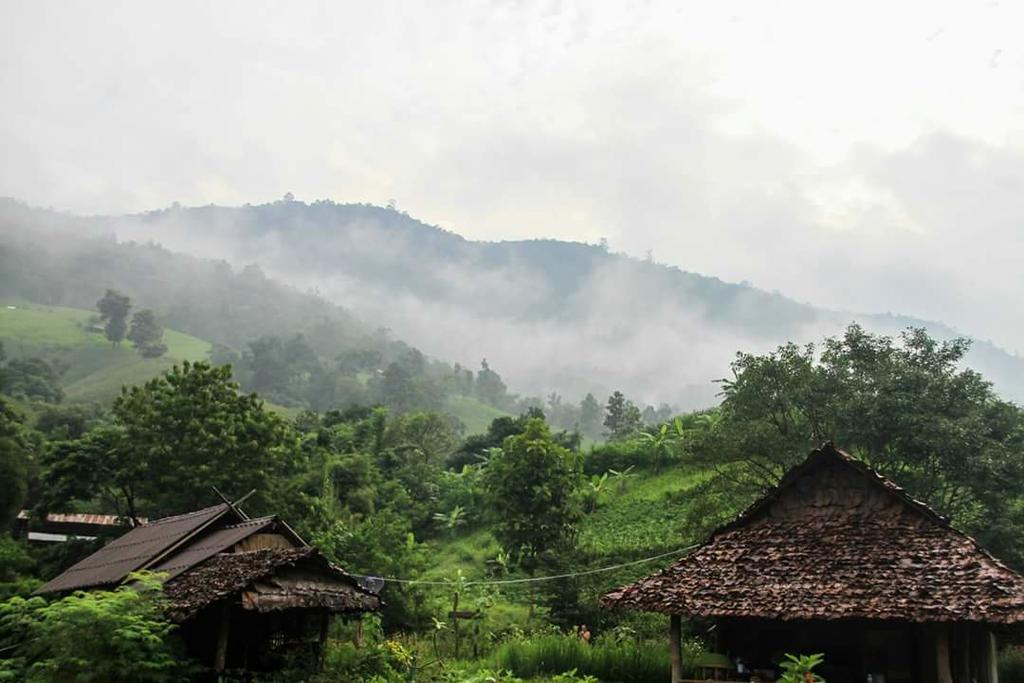 Farm stay Kowitfarmstay Ban Mae Pan Noi