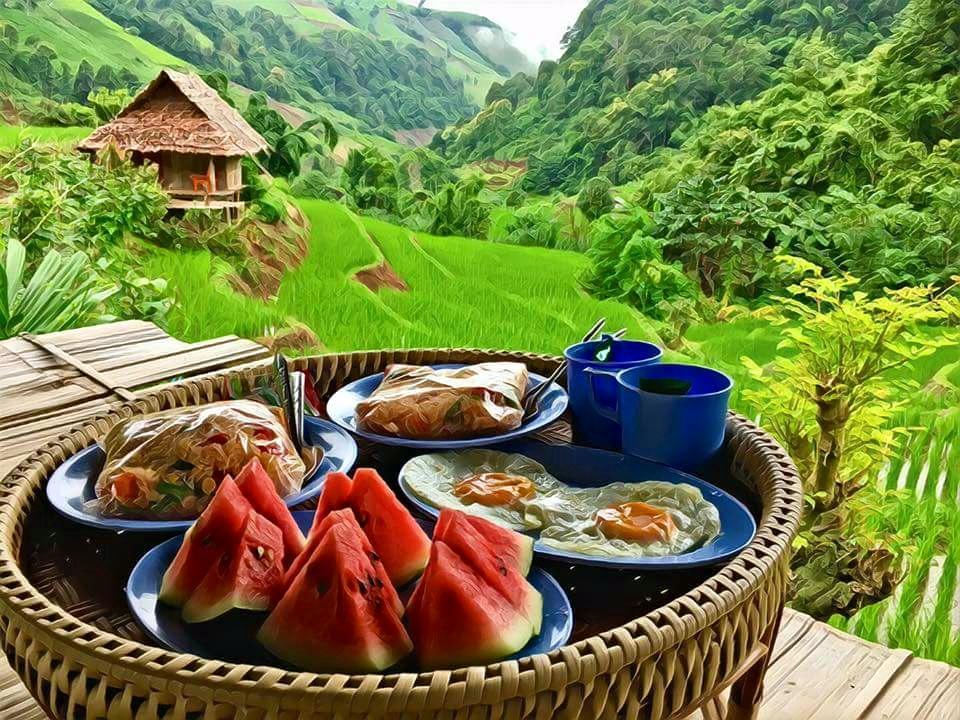 Kowitfarmstay *